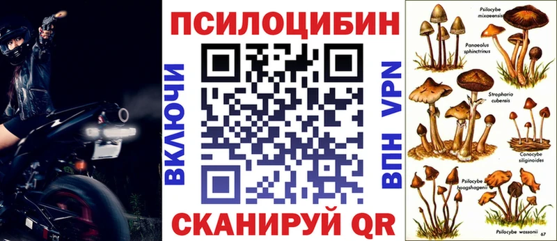 Псилоцибиновые грибы Magic Shrooms  Купить где  Тимашёвск 
